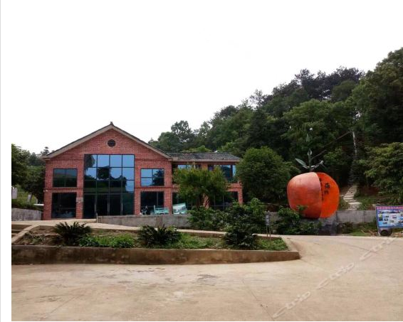 心靈之旅品牌系列醉美養(yǎng)生行東江湖馬爾代夫式度假3日游（入住1晚精品酒店+1晚島上農(nóng)家住宿+特色三文魚(yú)宴+采摘水果)_旅游線路