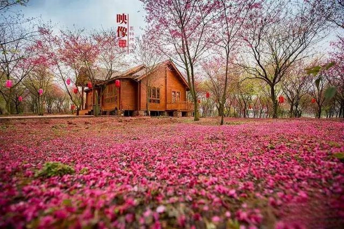 郴州旅游王仙嶺景區門票